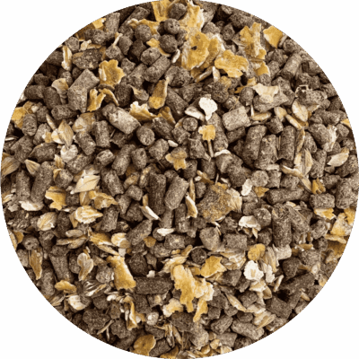 Formules traditionnelles – Jeunes bêtes