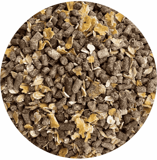 Formules traditionnelles – Jeunes bêtes