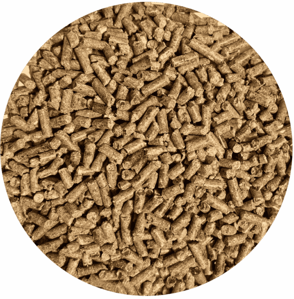 Protei Schyns 30/35/40